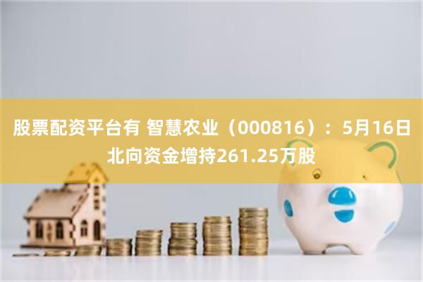 股票配资平台有 智慧农业（000816）：5月16日北向资金增持261.25万股