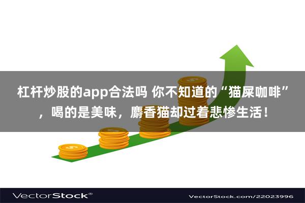 杠杆炒股的app合法吗 你不知道的“猫屎咖啡”，喝的是美味，麝香猫却过着悲惨生活！