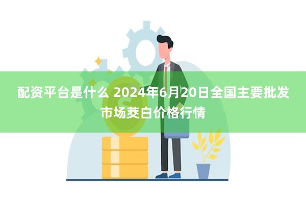 配资平台是什么 2024年6月20日全国主要批发市场茭白价格行情