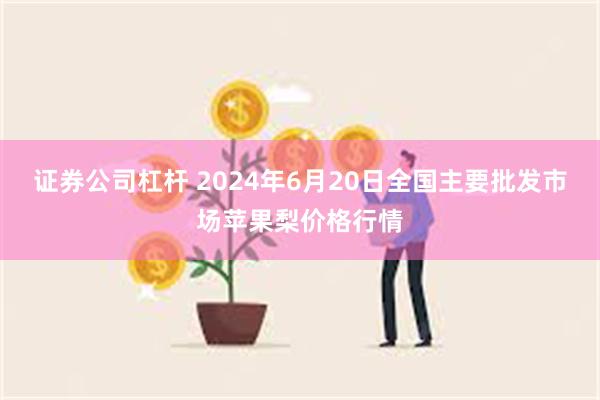 证券公司杠杆 2024年6月20日全国主要批发市场苹果梨价格行情