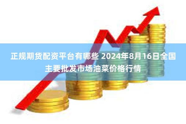 正规期货配资平台有哪些 2024年8月16日全国主要批发市场油菜价格行情