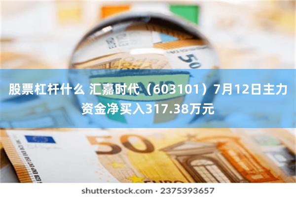 股票杠杆什么 汇嘉时代（603101）7月12日主力资金净买入317.38万元