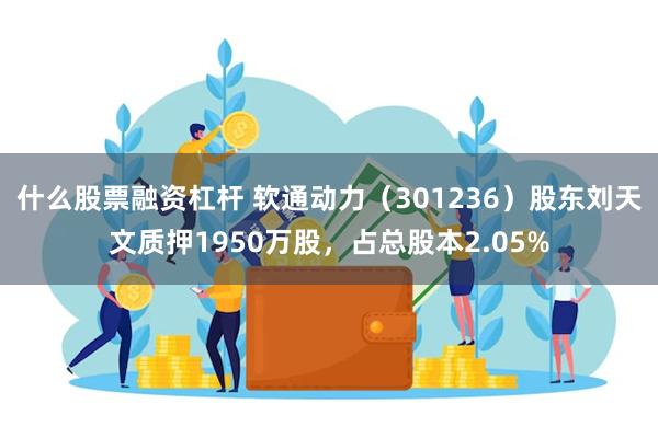 什么股票融资杠杆 软通动力（301236）股东刘天文质押1950万股，占总股本2.05%