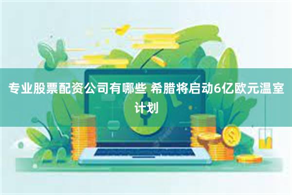 专业股票配资公司有哪些 希腊将启动6亿欧元温室计划