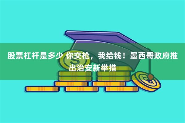 股票杠杆是多少 你交枪，我给钱！墨西哥政府推出治安新举措