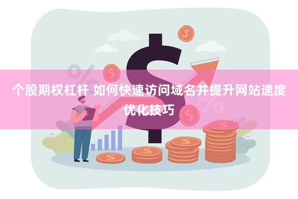 个股期权杠杆 如何快速访问域名并提升网站速度优化技巧