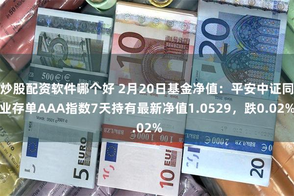 炒股配资软件哪个好 2月20日基金净值：平安中证同业存单AAA指数7天持有最新净值1.0529，跌0.02%