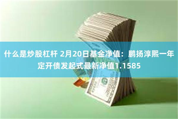 什么是炒股杠杆 2月20日基金净值：鹏扬淳熙一年定开债发起式最新净值1.1585