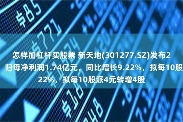 怎样加杠杆买股票 新天地(301277.SZ)发布2024年度业绩，归母净利润1.74亿元，同比增长9.22%，拟每10股派4元转增4股